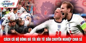 Cách Cá Độ Bóng Đá Tài Xỉu Từ Dân Chuyên Nghiệp Chia Sẻ